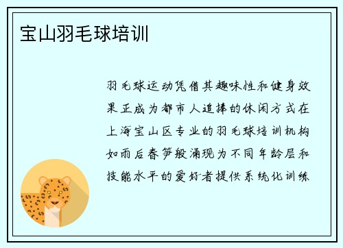 宝山羽毛球培训