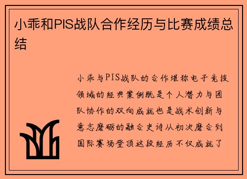 小乖和PIS战队合作经历与比赛成绩总结